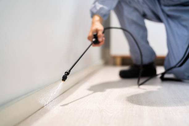 Licensed Pest Control service in Cahokia, IL - Show Me Pest Control