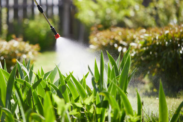 24/7 Emergency Wasp Removal experts in Cahokia, IL