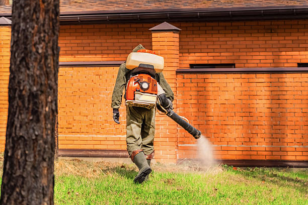 Top rated local Wasp Removal specialists in Cahokia, IL